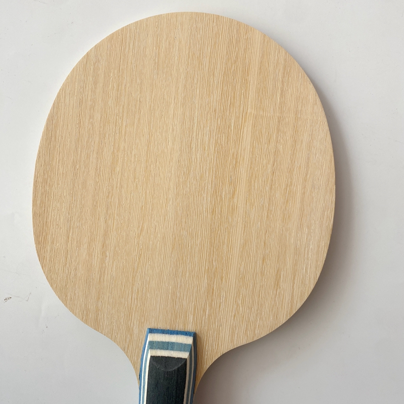 Lemuria VIS Carbon Fiber Table - Stiga Carbon Blade ulasan dan harga