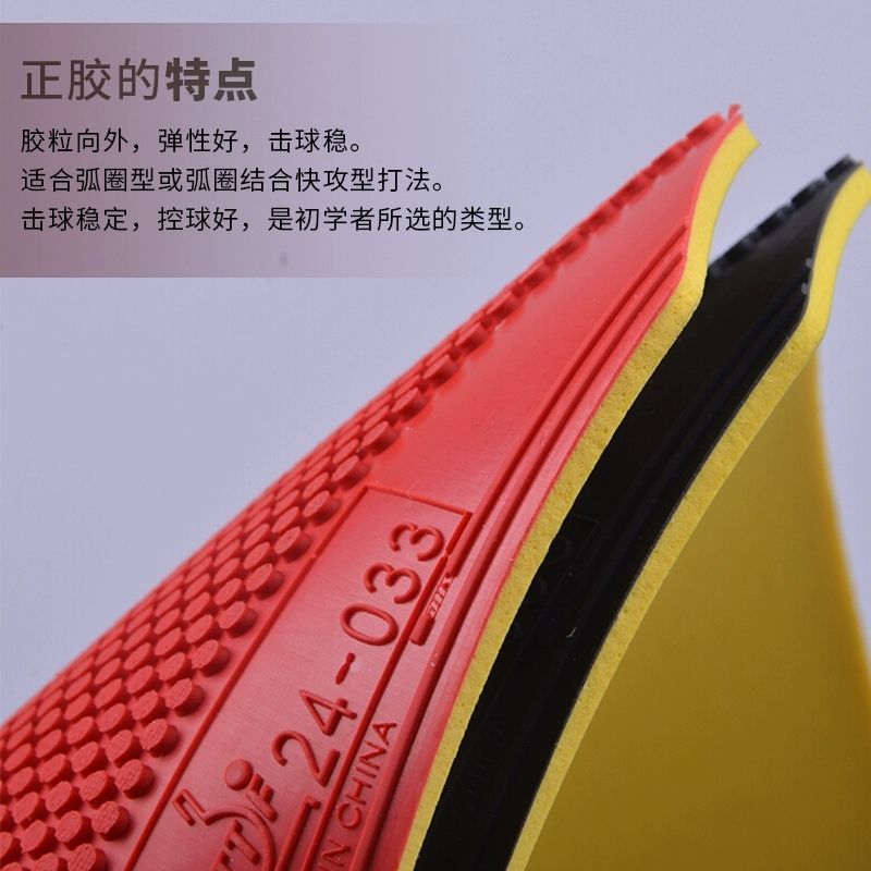 Original DHS Dragon Shadow Tab - Table Tennis Shop ulasan dan harga